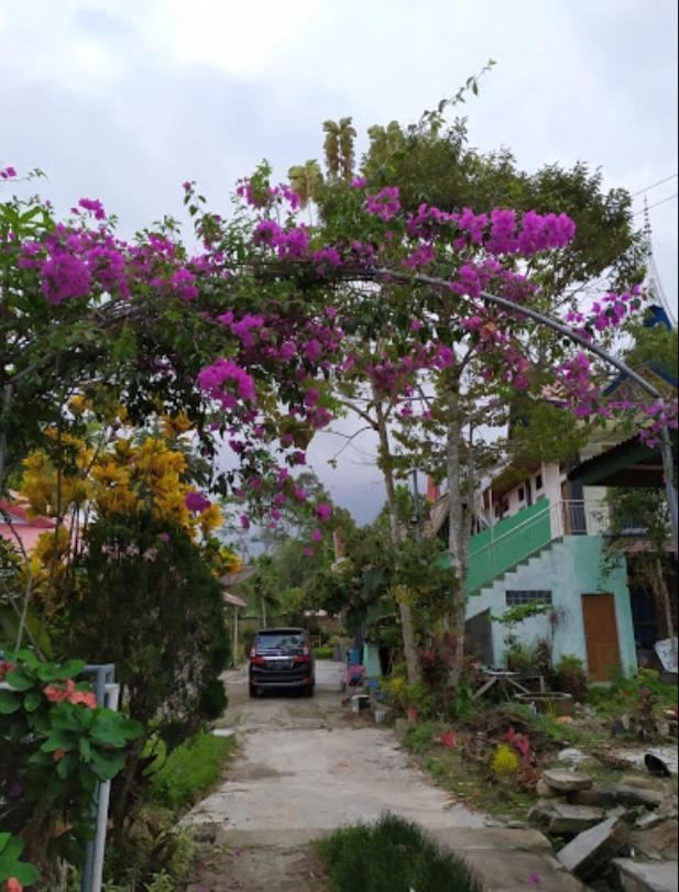 Gabelo Guest House 武吉丁宜 外观 照片